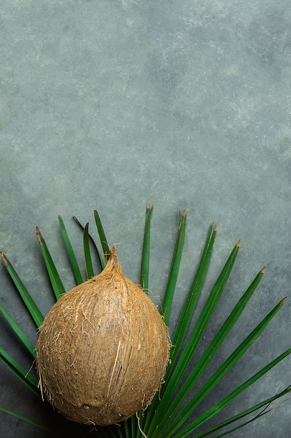 Gehele Kokosnoot op Palmblad op Gray Stone Background.