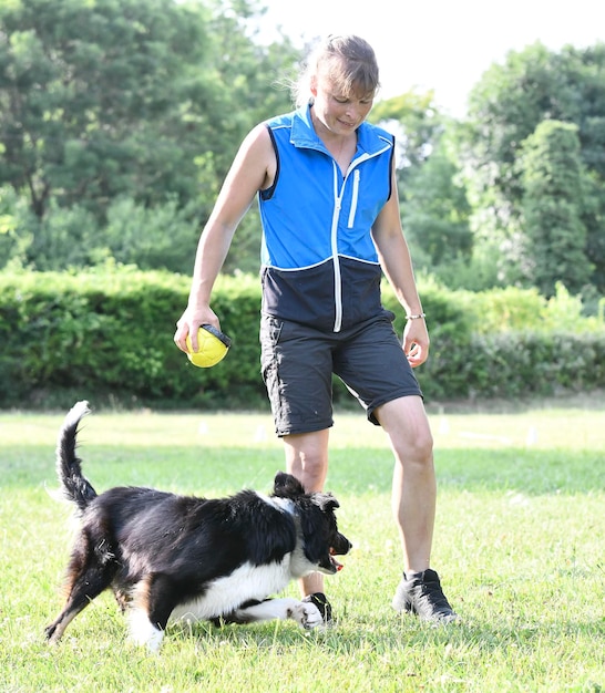 gehoorzaamheidstraining met een border collie