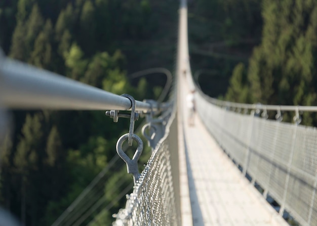 Фото geierlay - длинный мост в германии
