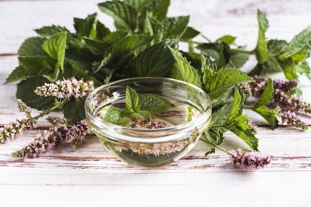 Geïnfundeerde muntolie in kom, mentha laat bloemen achter op witte oude tafel kruidengeneeskunde en natuurgeneeskunde