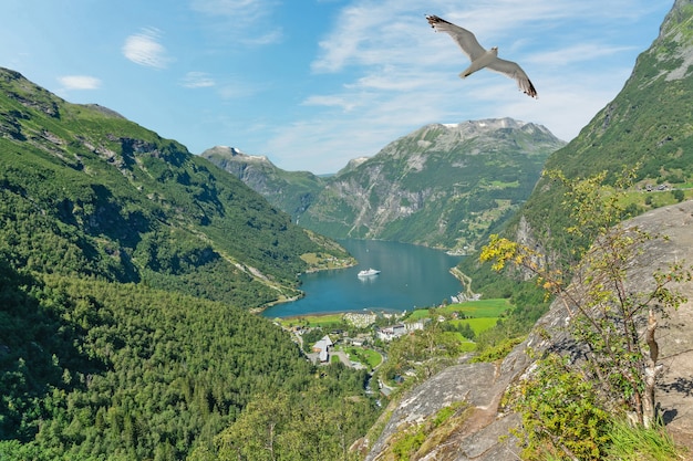 Geiranger fjord zee landschap met zeemeeuw, Noorwegen