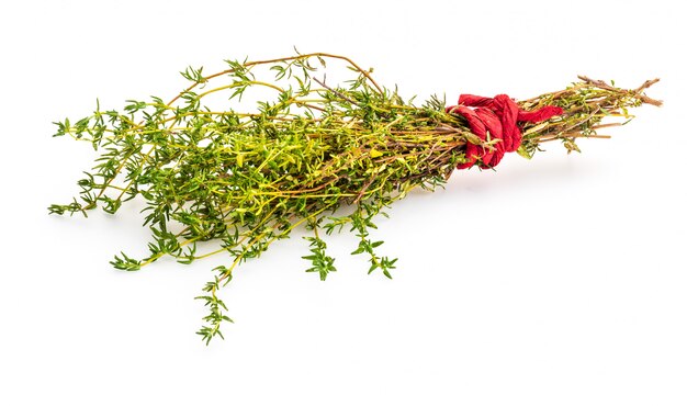 Geïsoleerd boeket van verse en rauwe tijm. Ingrediënt van mediterrane keuken.