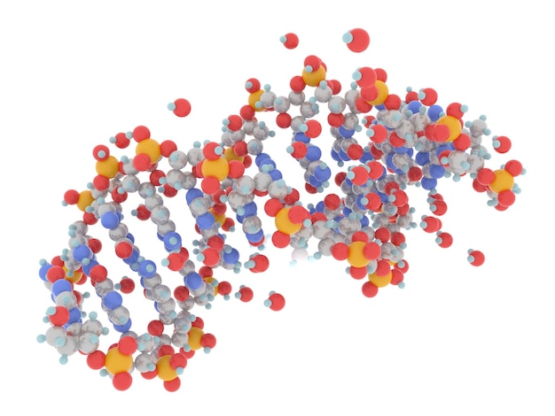 geïsoleerd DNA op witte achtergrond