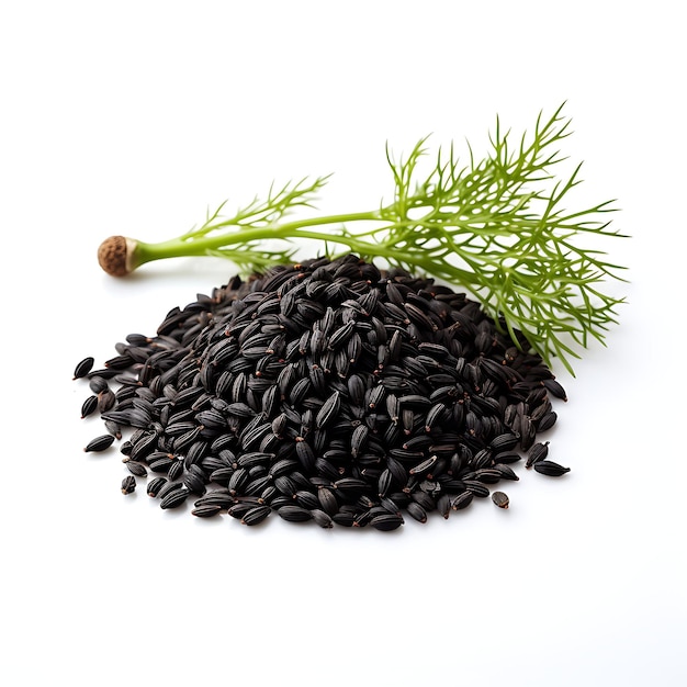 Geïsoleerd van zwart komijnzaad Kleine zwarte zaden met een unieke smaak Thri op witte achtergrondfoto