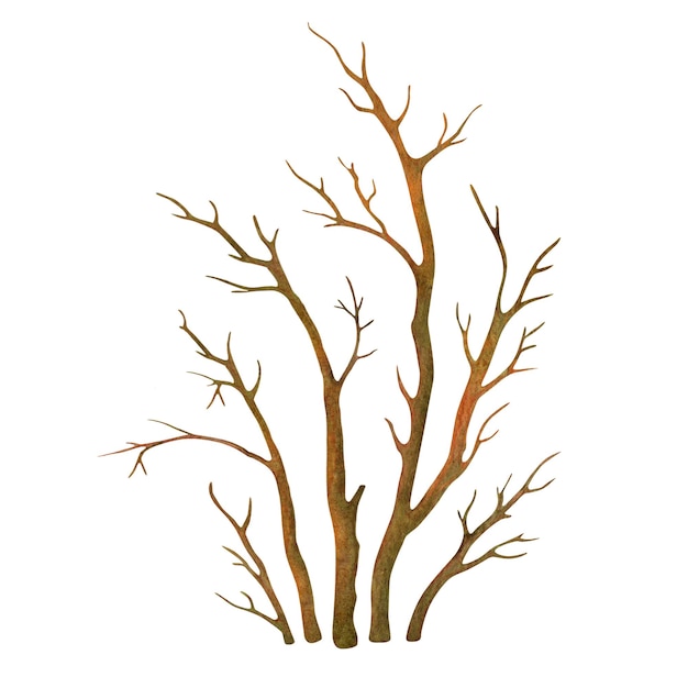 Geïsoleerde bladloze struik Naakte bladverliezende plant Natuurlijk object uit het boslandschap constructor set