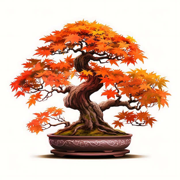 Geïsoleerde esdoorn Bonsai boom geglazuurde pot handvormige bladeren herfst geïnspireerd op witte BG Japan Chinese kunst