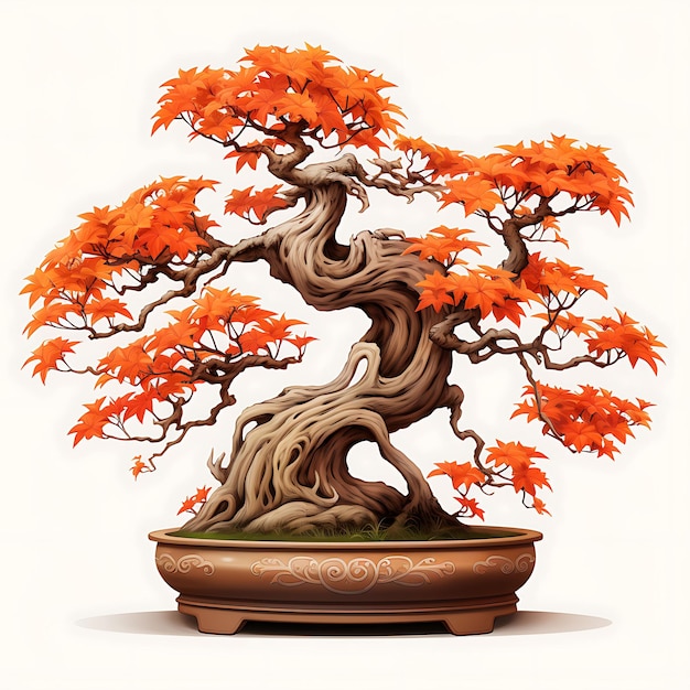 Geïsoleerde esdoorn bonsai boom porselein pot lobed bladeren harmonie concept op wit BG Japan Chinese kunst