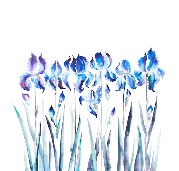 Foto geïsoleerde iris bloem aquarel