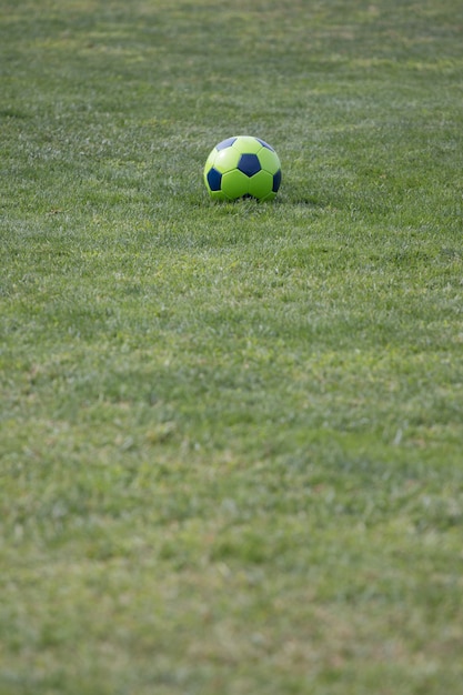 Geïsoleerde voetbalbal op groen gras