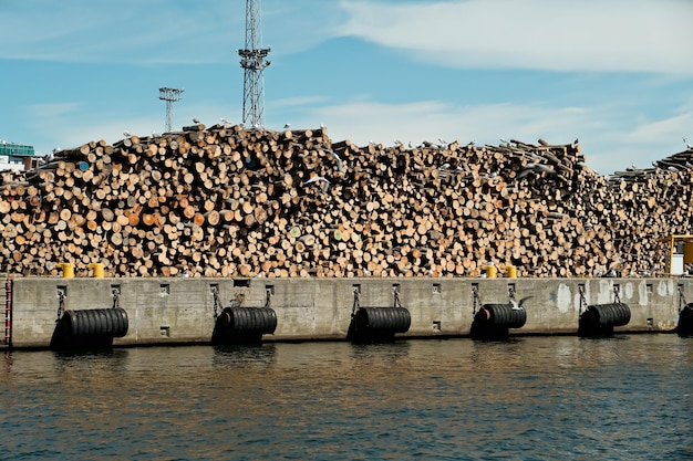 Gekapt hout catastrofale ontbossing gezaagd hout opgeslagen in de haven