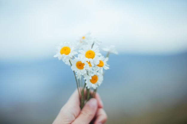 Gekapte afbeelding van een hand die bloemen vasthoudt