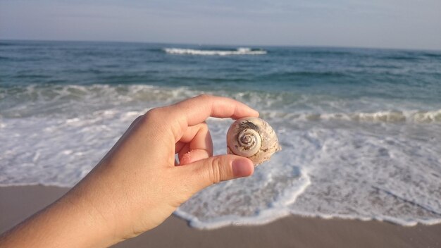 Gekapte afbeelding van een persoon die een schelp tegen de zee vasthoudt op het strand
