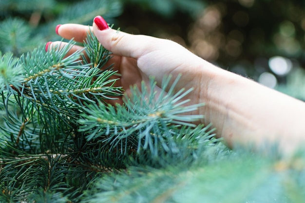 Foto gekapte afbeelding van een vrouw met een kerstboom