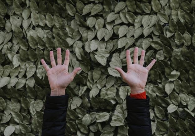 Foto gekapte afbeelding van handen tegen planten