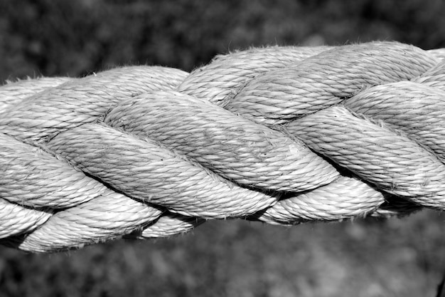 Foto gekapte afbeelding van touw