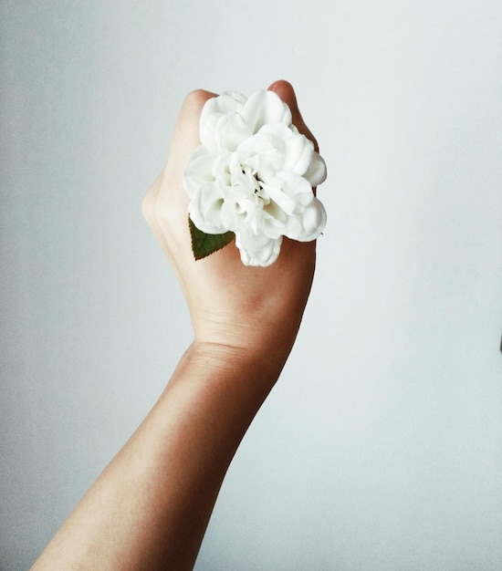 Gekapte hand die een bloem tegen de muur houdt