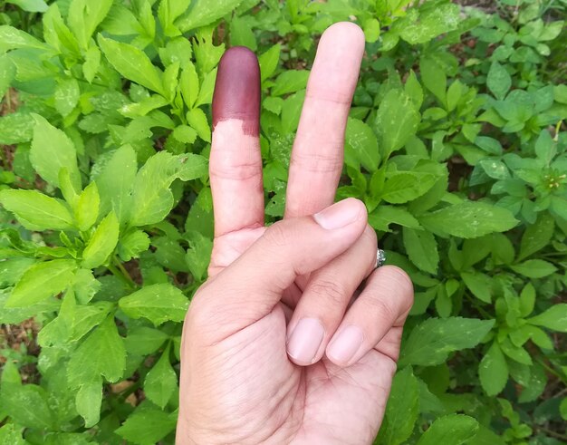 Foto gekapte hand die een vredesteken tegen planten maakt