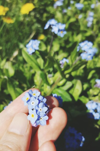 Foto gekapte hand met bloemen