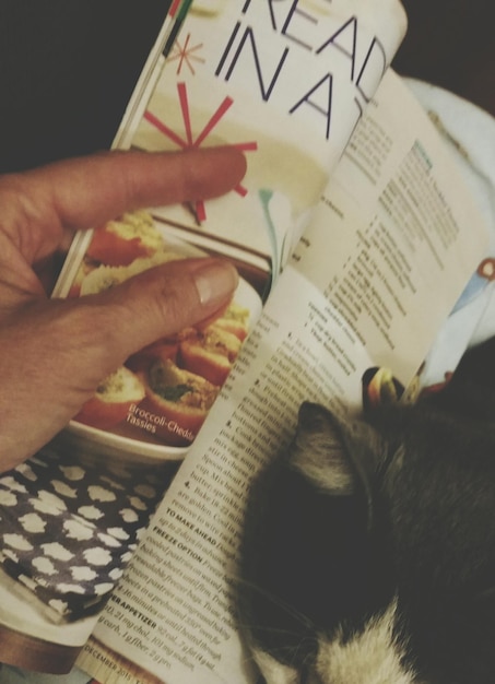 Foto gekapte hand met kookboek van een kat thuis