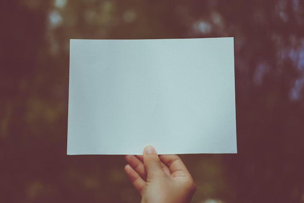 Foto gekapte hand van een persoon die blank papier tegen bomen houdt