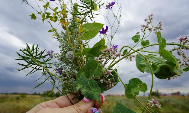 Foto gekapte hand van een vrouw met bloemen tegen een bewolkte lucht