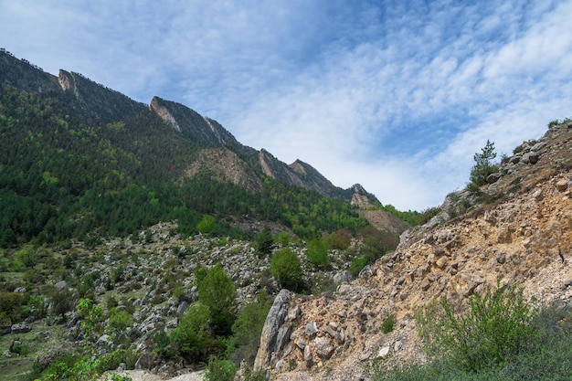 Gekartelde rotsachtige bergkam bedekt met dun bos tegen een blauwe lucht. Minimalistisch sfeerlandschap met rotsachtige bergwand met puntige top in zonnig licht. Losse stenen berghellingen.