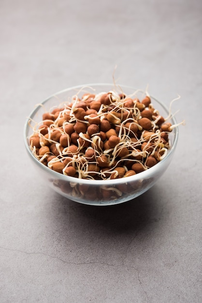 Gekiemde Kala Chana of zwarte of bruine kikkererwten - het is een veganistische vervanging voor rijke eiwitten en het heeft een hoog gehalte aan levende enzymen