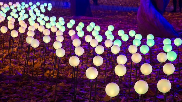 Gekleurde gloeiende ballen slingers in de stadspark straat licht kleur festival decoratie