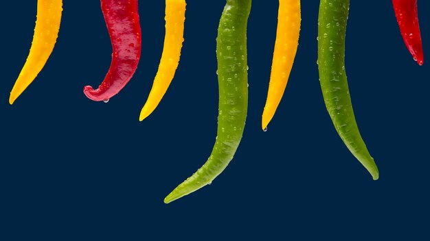 Foto gekleurde hot chili op een donkerblauw. peper. plantaardig vitamine voedsel.