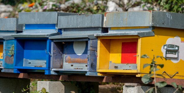 Gekleurde houten kasten