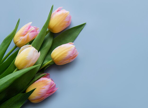 Gekleurde lentetulpen op een blauwe achtergrond