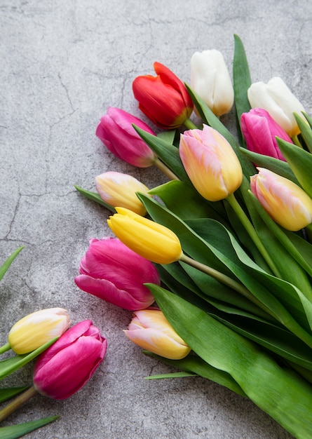 Gekleurde lentetulpen op een concrete achtergrond