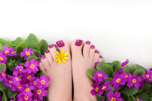 Gekleurde pedicure met paarse bloemen