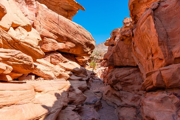 Gekleurde Salam-canyon op het Sinaï-schiereiland, prachtige gebogen kalksteenstenen.