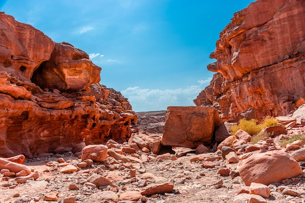 Gekleurde Salam-canyon op het Sinaï-schiereiland, prachtige gebogen kalksteenstenen.