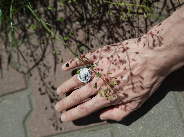Foto geknipte ring voor het dragen van de hand