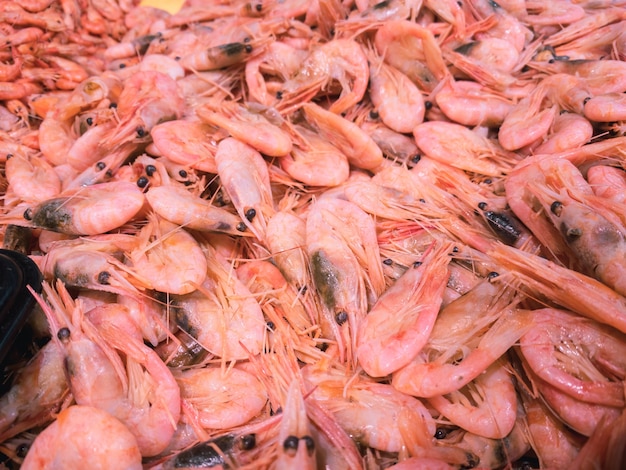 Gekoelde gekookte roze zeegarnalen