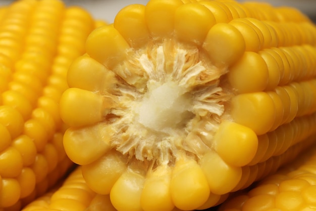 Gekookte maïs gezonde veganistische snack