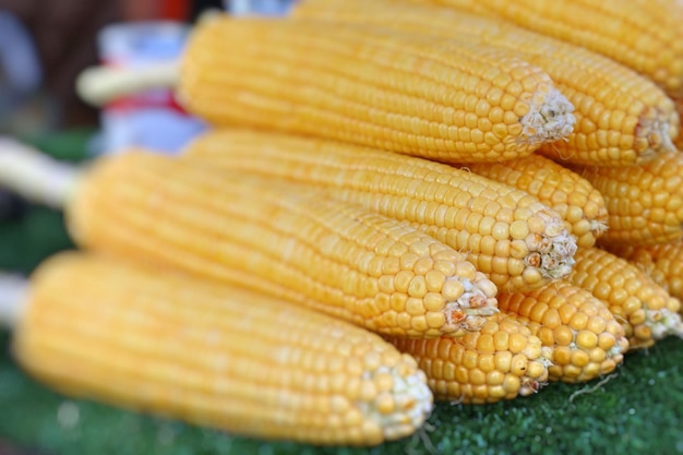 Gekookte maïs op straat eten