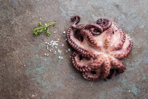 Gekookte verse octopus klaar om te serveren op stenen achtergrond, bovenaanzicht