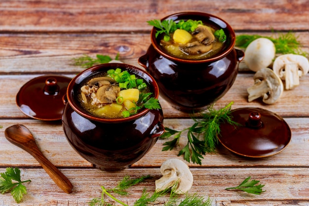 Gekookte witte champignons met aardappel en vlees in stoofpotten