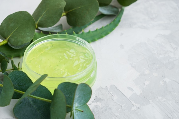 Gel of aloe vera and eucalyptus natural cosmetic ingredients on light background