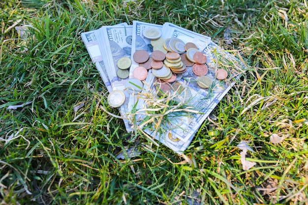 Geld dat in het gras ligt. Dollars en munten buitenshuis.