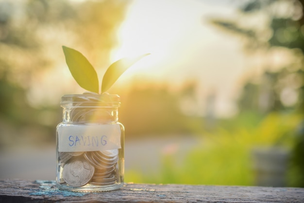 Geld in glazen pot met een plant binnen