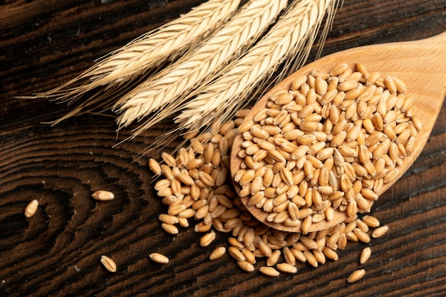 Geld op de achtergrond van aartjes van tarwe Export van graan en landbouw Stijgende prijzen voor landbouwproducten