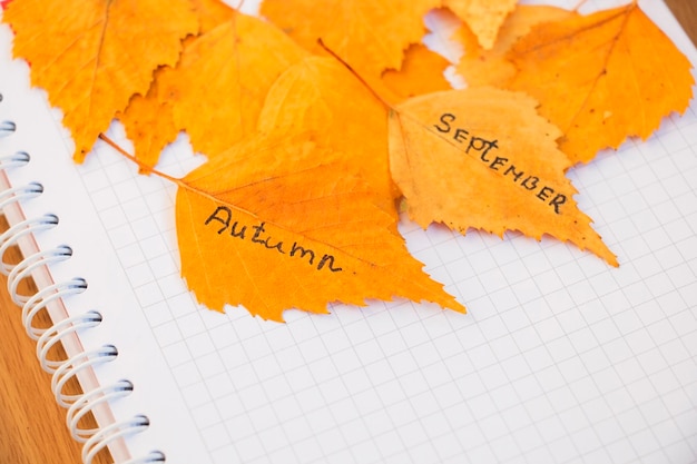 Gele bladeren met een inscriptie september herfst op een stuk blad notitieblok