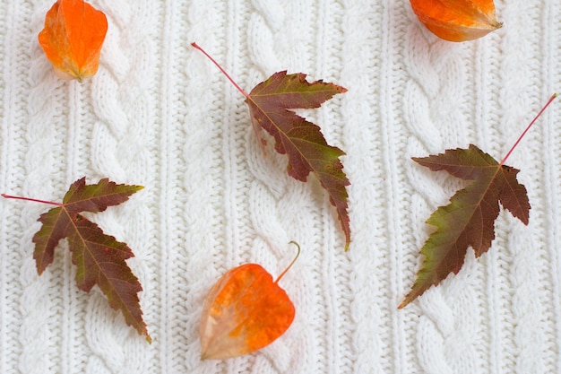 Gele bladeren op een witte gebreide textuur Golden Autumn