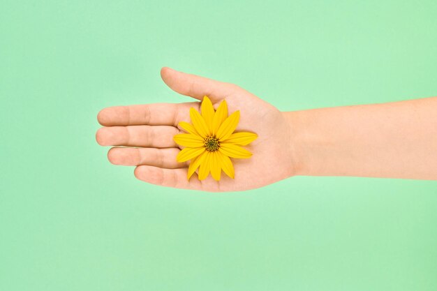 Gele bloem in vrouwelijke palm redden omgeving cosmetisch huidverzorging concept symbool van puur natuur