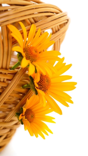 Gele bloem Rudbeckia mini zonnebloem in mand