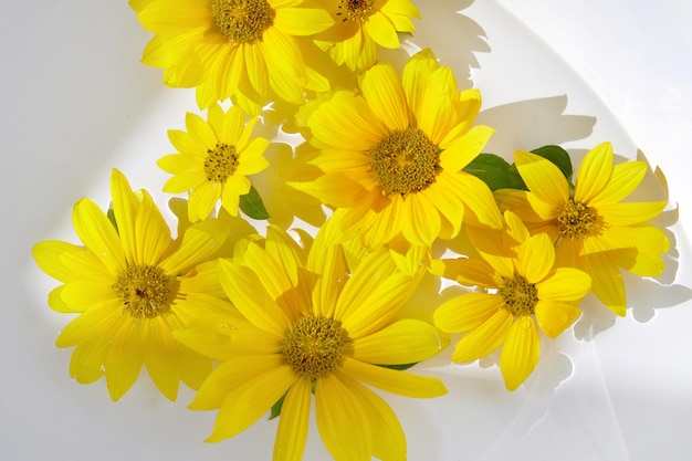 Gele bloemen drijvend op waterachtergrond voor cosmetica